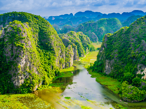 Amazing view of Tam Coc with karst formations and rice paddy fields, Ninh Binh province, Vietnam