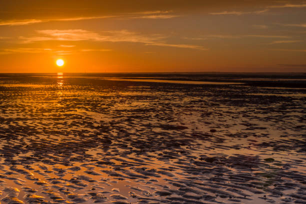 закат в немецком северном море - wadden wadden sea unesco world heritage site sea стоковые фото и изображения