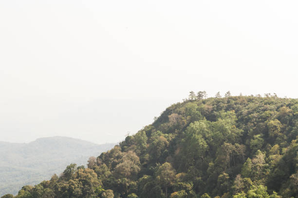 istock Mountain landscape in Thailand 1073977448