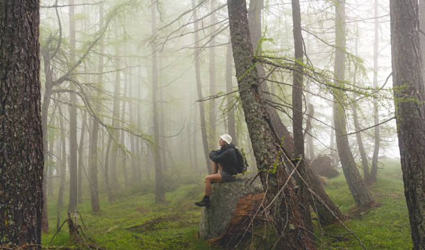 man sitting in misty forest, italian Alps stock photo