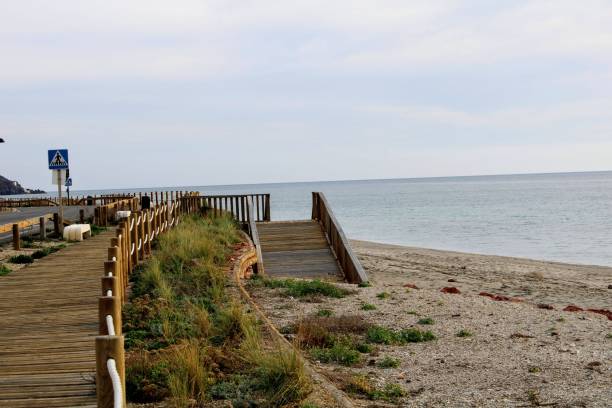 istock Wooden path on the beach 1073983348