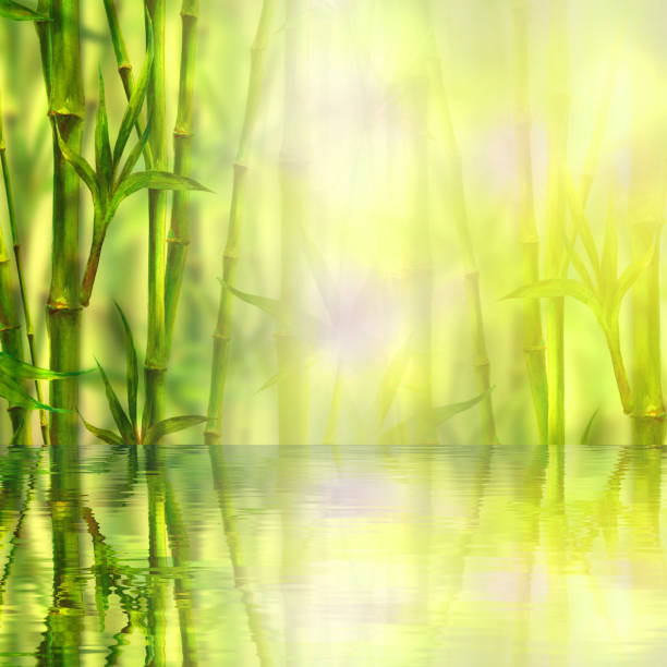 istock Bamboo forest with reflection in water spa background. Watercolor illustration with space for text 1073997850