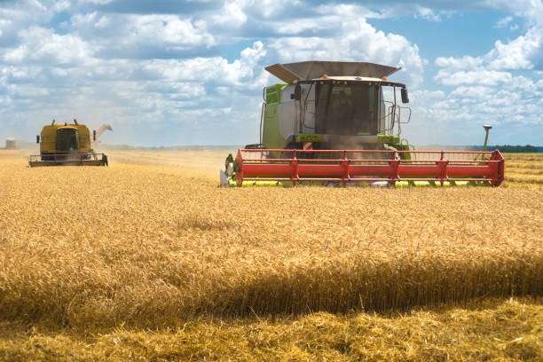 istock Combine harvester harvesting wheat 1073998002