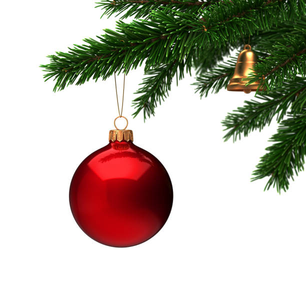 istock 3d Rendering branch of the New Year fir tree 1073998228