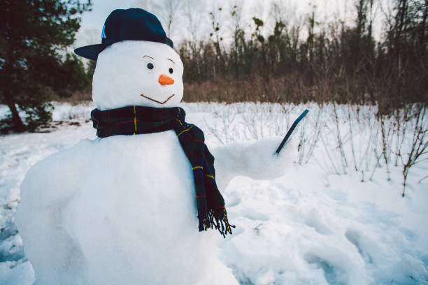 boneco de neve usando telefone inteligente - blue blueberry cold food descriptive color - fotografias e filmes do acervo
