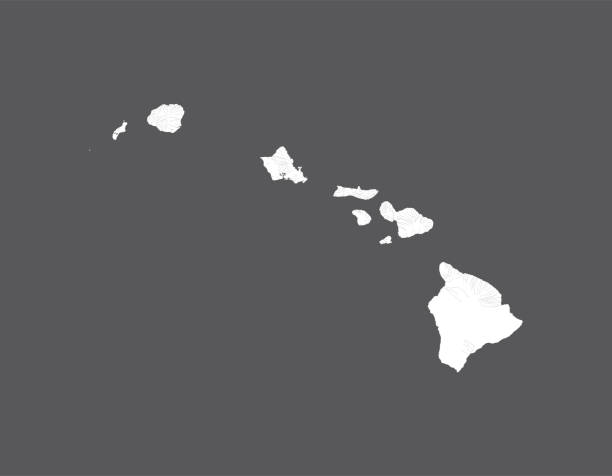 karte von hawaii mit seen und flüssen. - hawaii inselgruppe stock-grafiken, -clipart, -cartoons und -symbole