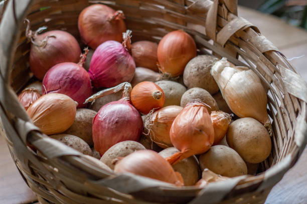 istock Onion and potatoes in wicker basket 1074007080