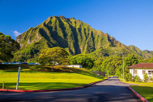 światowej sławy schody do nieba lub haiku schody - honolulu oahu vacations park zdjęcia i obrazy z banku zdjęć