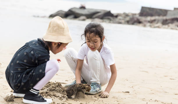 istock Two girls playing on the beach. 1074013820