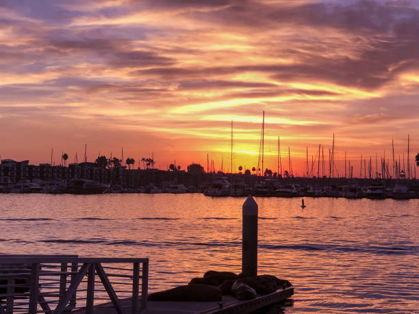 istock Sunset in Marina del Rey, CA 1074022596
