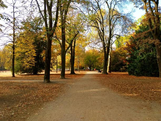 istock autumn in the park 1074024650
