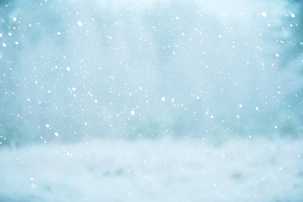 istock Winter scene - snowfall on the blurred background 1074030976