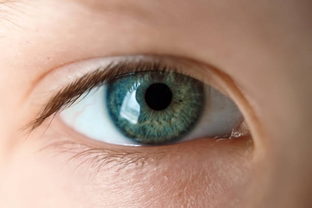 istock baby's eye is blue, close-up. 1074032538