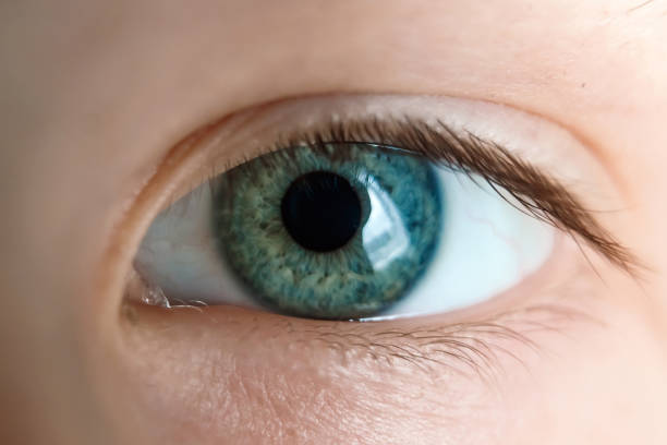 istock baby's eye is blue, close-up. 1074032540