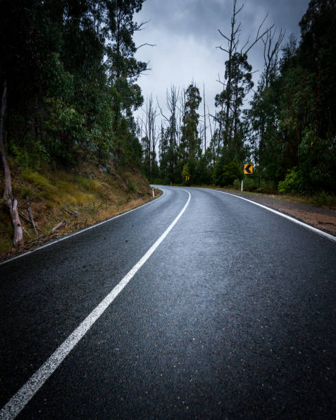 A wet twisty road through the mountains on a misty morning