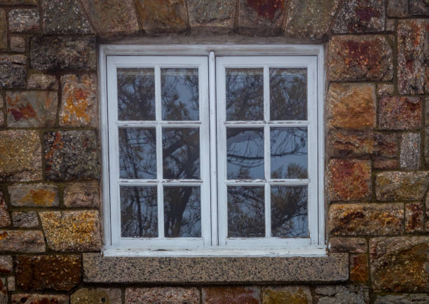 Double-paned window in white reflects bare coniferous pine trees through the panes surrounded with rugged warm-toned brick