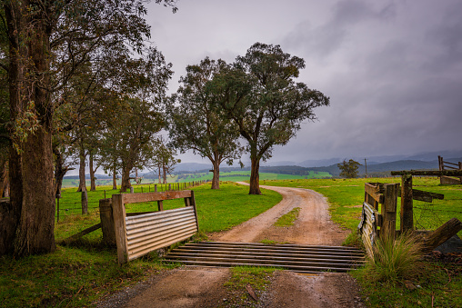A country road through a gate over a cattle grid