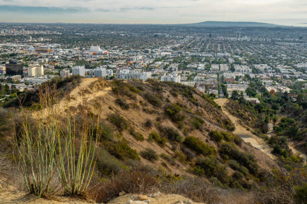 istock Runyon Canyon Park, Los Angeles, California 1074049944