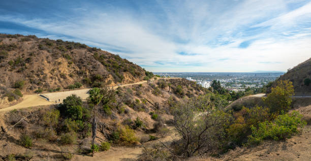 istock Runyon Canyon Park, Los Angeles, California 1074051448