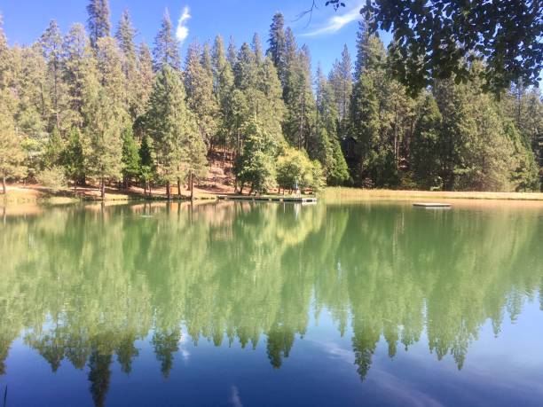 istock Summer in Blue Lake Springs 1074058032