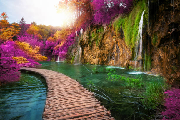 istock Beautiful wooden path in Plitvice Lake, Croatia. 1074059708