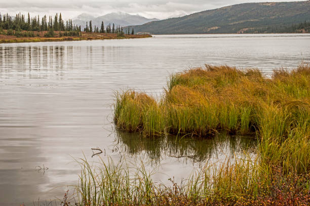 istock Fall comes to a lake in Denali National Park. 1074062012