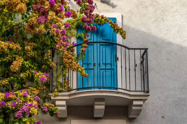 A pretty balcony with a blue wooden door and beautiful pink bougainvillea flowers on the side.