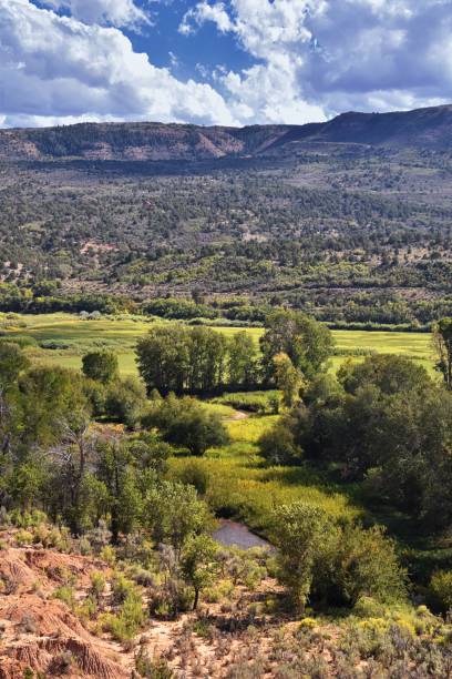 istock Late Summer early Fall panorama forest views hiking, biking, horseback trails through trees along Highway 40 near Daniels Summit between Heber and Duchesne in the Uintah Basin, Utah, USA. 1074067868