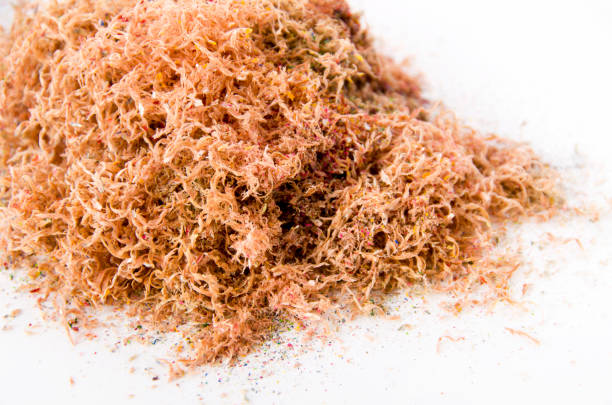 istock Pencil shavings  on white background 1074070396