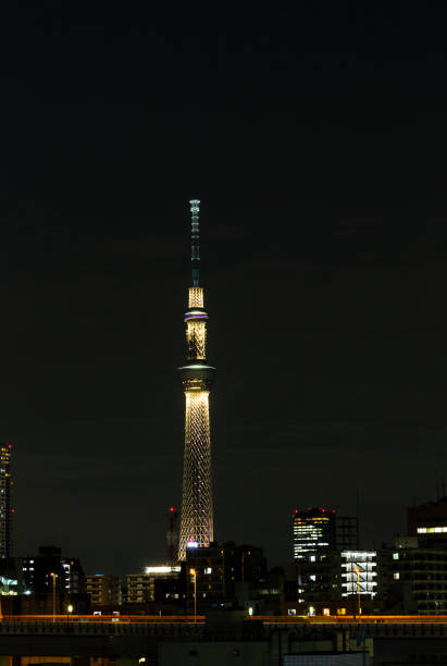 istock Tokyo skytree tower in Janpan in night light with brigde and building 1074076514