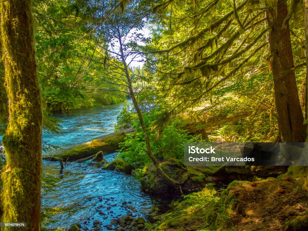 Blue Mountain River (6) - Royalty-free Boom Stockfoto Blue Mountain River (6) - Royalty-free Boom Stockfoto