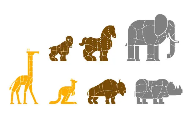 Vector illustration of Cut of meat set beast Giraffe and Kangaroo. Bison and rhinoceros. silhouette scheme lines of different parts meat. How to cut flesh Elephant, horse and ram. Poster Butchers diagram for meat stores. Barbecue and steaks, delicacy dishes.