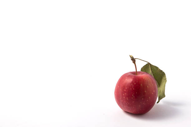 istock Small apple with green leaf on white background. ranetka 1074084240