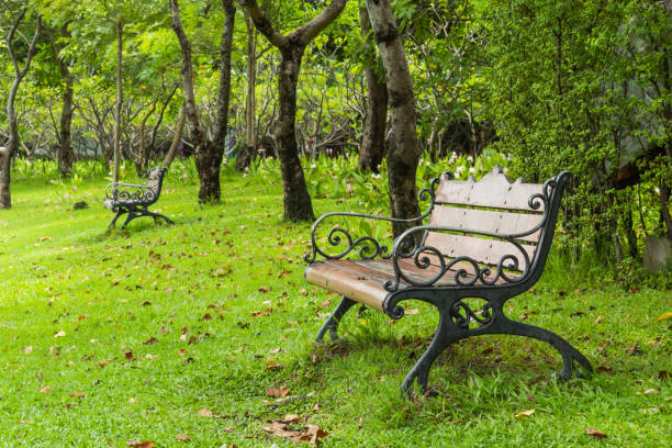 istock Chairs on the lawn in the park. 1074099488