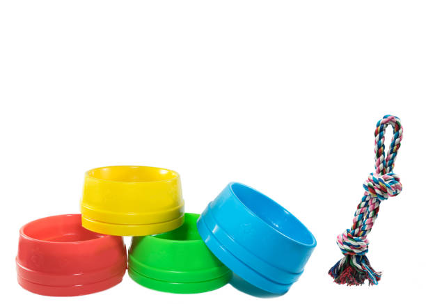 istock Pet accessories concept.  Bowls stack and pet toy with copy space on isolated white 1074102172