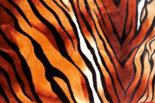 Tiger stripe texture as pattern for background