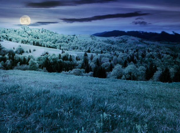 istock beautiful countryside in springtime at night 1074117136