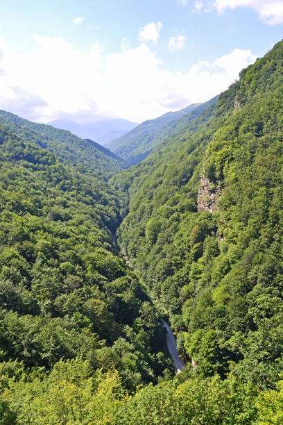 istock Mountains in Transylvania, Romania 1074130256