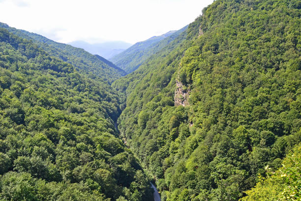 istock Mountains in Transylvania, Romania 1074130288