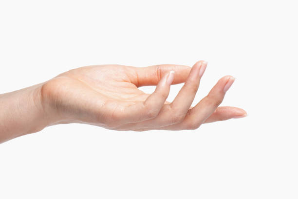 istock a palm-up hand. A hand that wants something. 1074130764