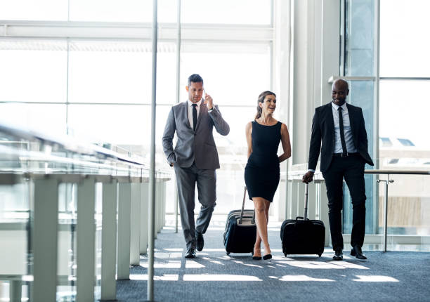 istock The top dogs have landed 1074145530