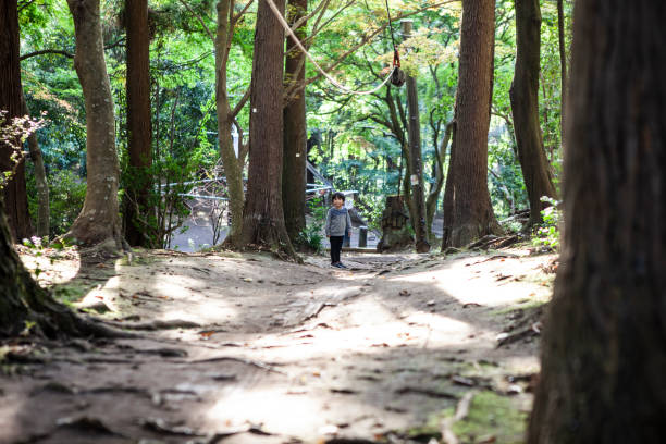 istock A boy who enjoys hiking in a natural park. 1074147486