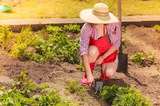 istock woman with gardening tool working in garden 1074153544