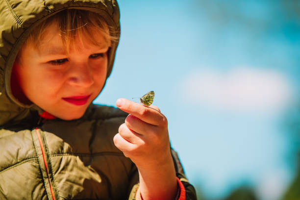 istock Little boy looking at butterfy, kids learning nature 1074155684