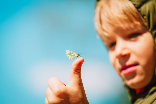 istock Little boy looking at butterfy, kids learning nature 1074156142