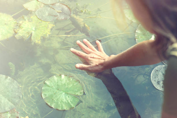 frau berührt mit respekt die quelle des lebens, das wasser ist - nature zen like stream water stock-fotos und bilder