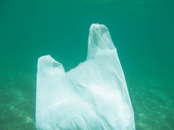 istock Plastic bag floating into the sea. Polluted environmental. Garbage 1074164588