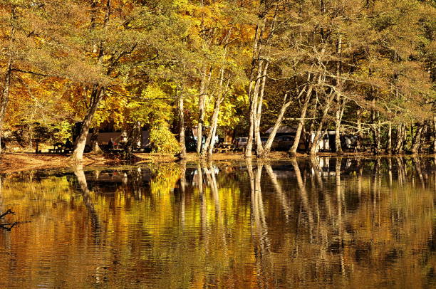 istock Autumn landscape. Autumn tree leaves sky background. 1074167352
