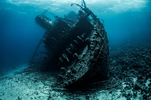 A large partially decomposed shipwreck lying at the bottom of the Red Sea, covered with algae and corals.