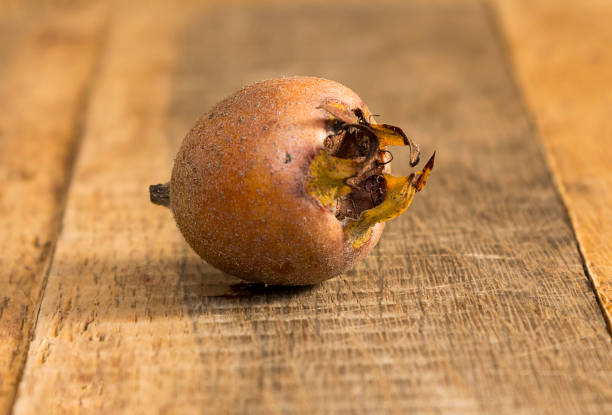istock Meddler fruit isolated on wooden background 1074169230